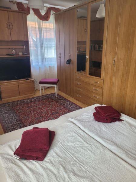 Ferienwohnung Korneuburg Bei Wien -1 Extérieur photo